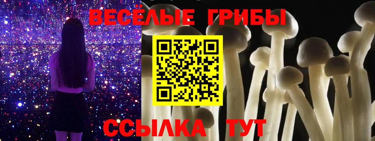 Псилоцибиновые грибы Psilocybe  Псилоцибиновые грибы ЛСД  Вход с VPN  Петрозаводск 