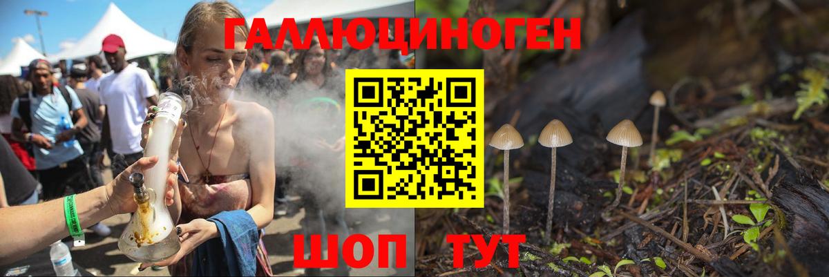 Псилоцибиновые грибы мицелий Петрозаводск